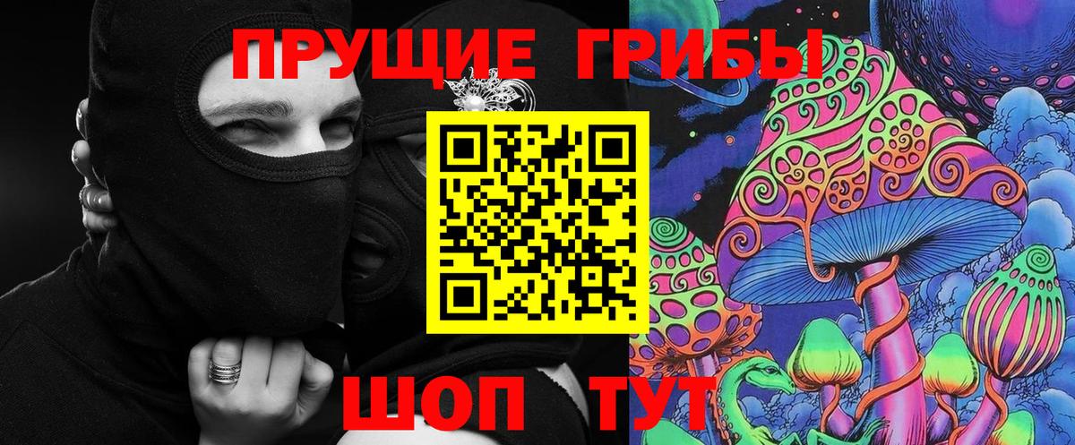 Галлюциногенные грибы Psilocybe  Вход с VPN  Сызрань 