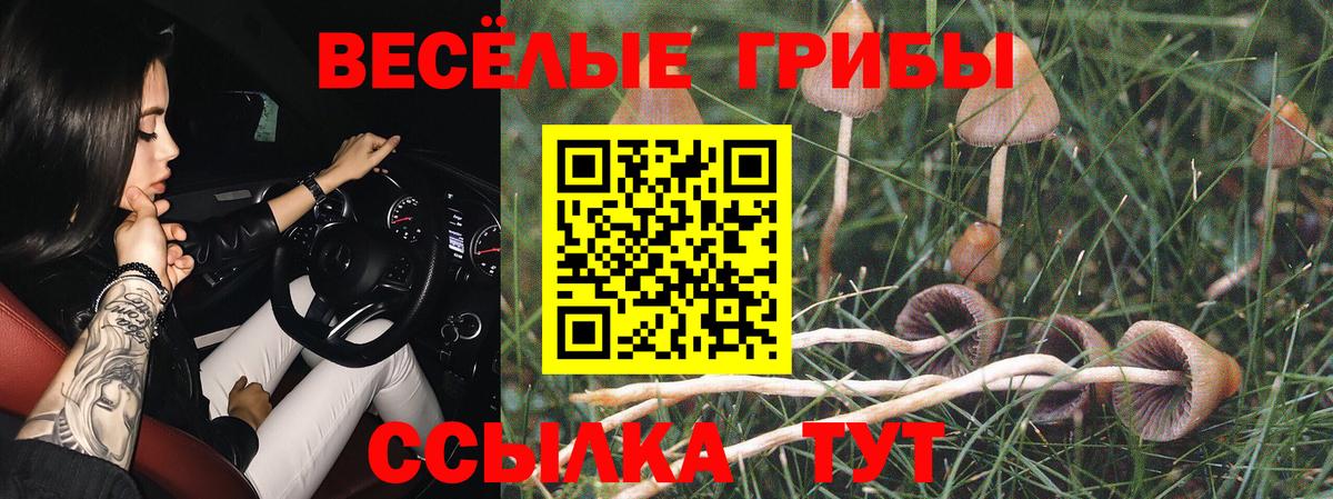 Псилоцибиновые грибы Psilocybine cubensis Сызрань